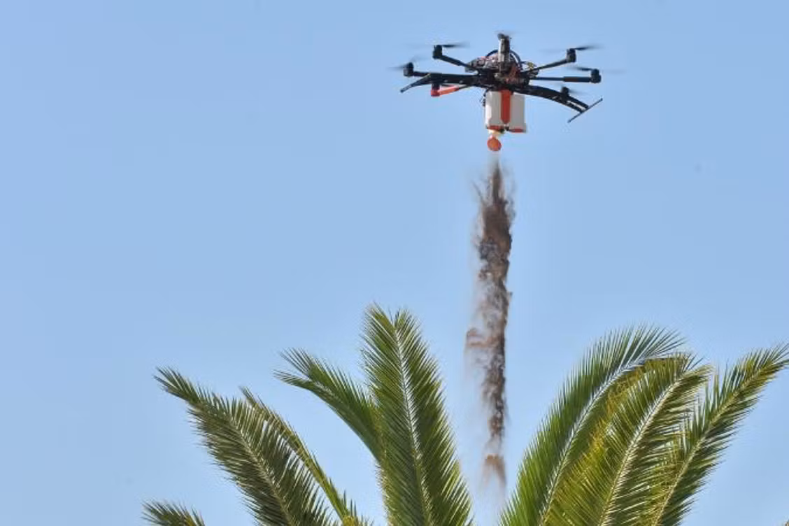 Destruction de nid de frelons par drone